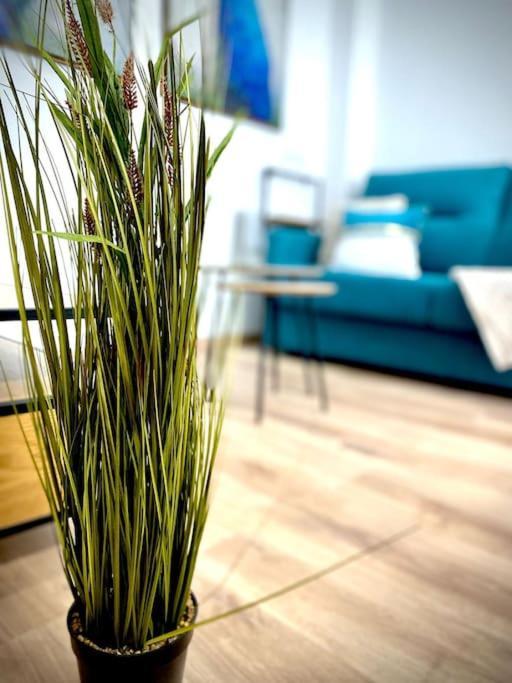 Mychoice Salmarina Lägenhet Rota Exteriör bild